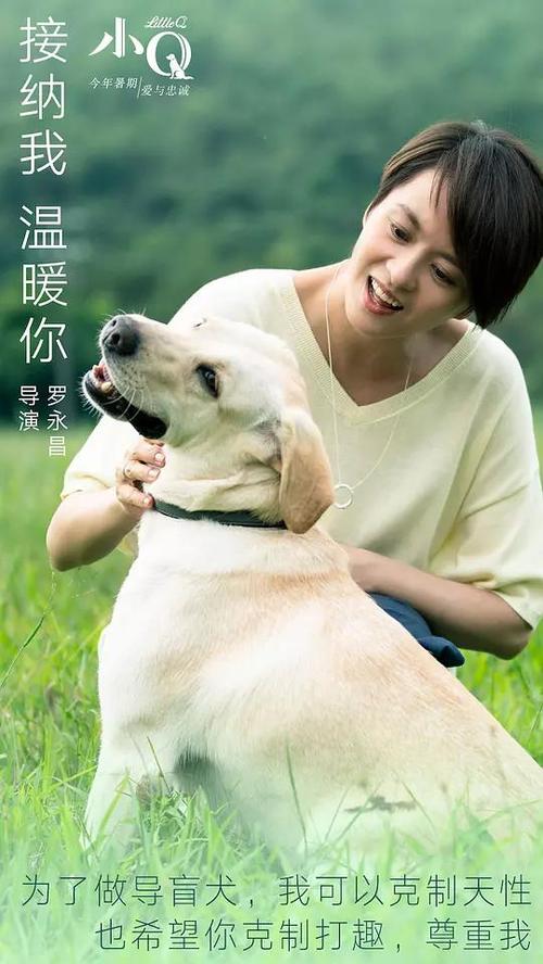 农村土地承包经营权证能办假的吗